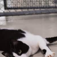 Photo of Jasper Picton