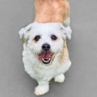Photo of Bilo
