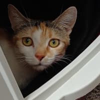 Photo of Felicity Joy
