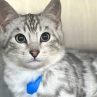 Photo of Huey