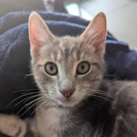 Photo of Hugo Scotty