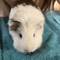 Photo of Gina & Mina