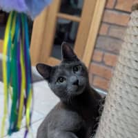 Photo of Smokey