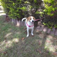 Photo of Sunny 