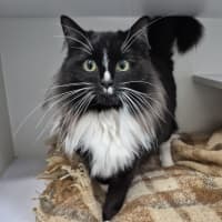 Photo of Chausette