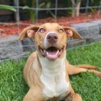 Photo of Matilda