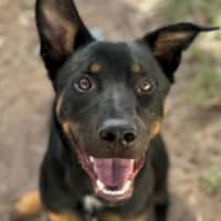 Photo of Rokit