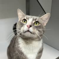 Photo of The Mayor Of Whoville