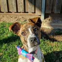 Photo of Chloe
