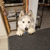 Photo of Ghost & Mirri