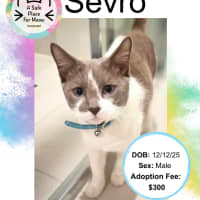 Photo of Sevro