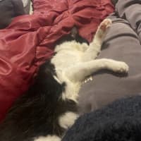 Photo of Roxy