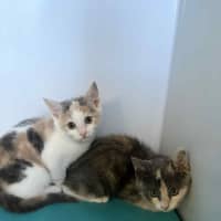 Photo of Martha & Morgan 