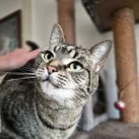 Photo of Marley