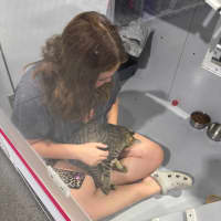 Photo of Milo Meetme@Petstock Hastings Storw