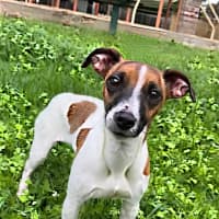 Photo of Marlie