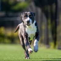 Photo of Michael Imp 887