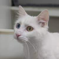 Photo of 🎀 Marie 5728 🎀