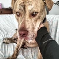 Photo of Theodorable