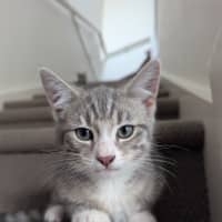 Photo of Isabella Scotty