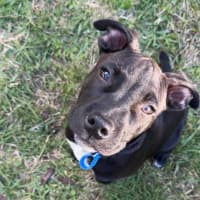 Photo of Coal