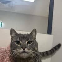 Photo of Clyde