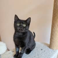 Photo of Fifi