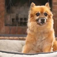 Photo of Maxy O’cleary