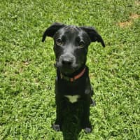 Photo of Lumi