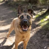 Photo of Lilly