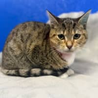 Photo of Freya