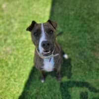 Photo of Rosie
