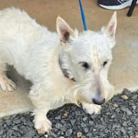 Photo of Zeira