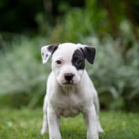 Photo of Rookie