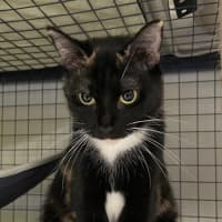 Photo of Prue & Trude