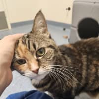 Photo of Dorothy