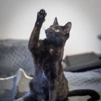 Photo of Schwartz & Aella