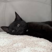 Photo of Banksy 🎨