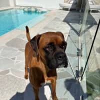 Photo of Tilly & Teddy