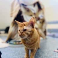 Photo of Bud