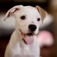 Photo of Gabby