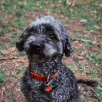 Photo of Oscar And Annika Newhaven