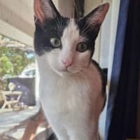 Photo of Maggie