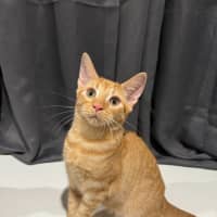 Photo of Louie