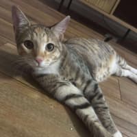 Photo of Elsie