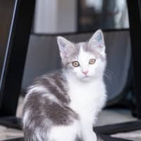 Photo of Brodee