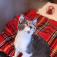 Photo of Howie