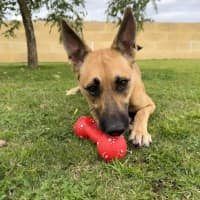 Photo of Macey