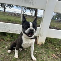 Photo of Timmy