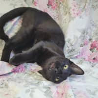 Photo of Pretzel 🥨